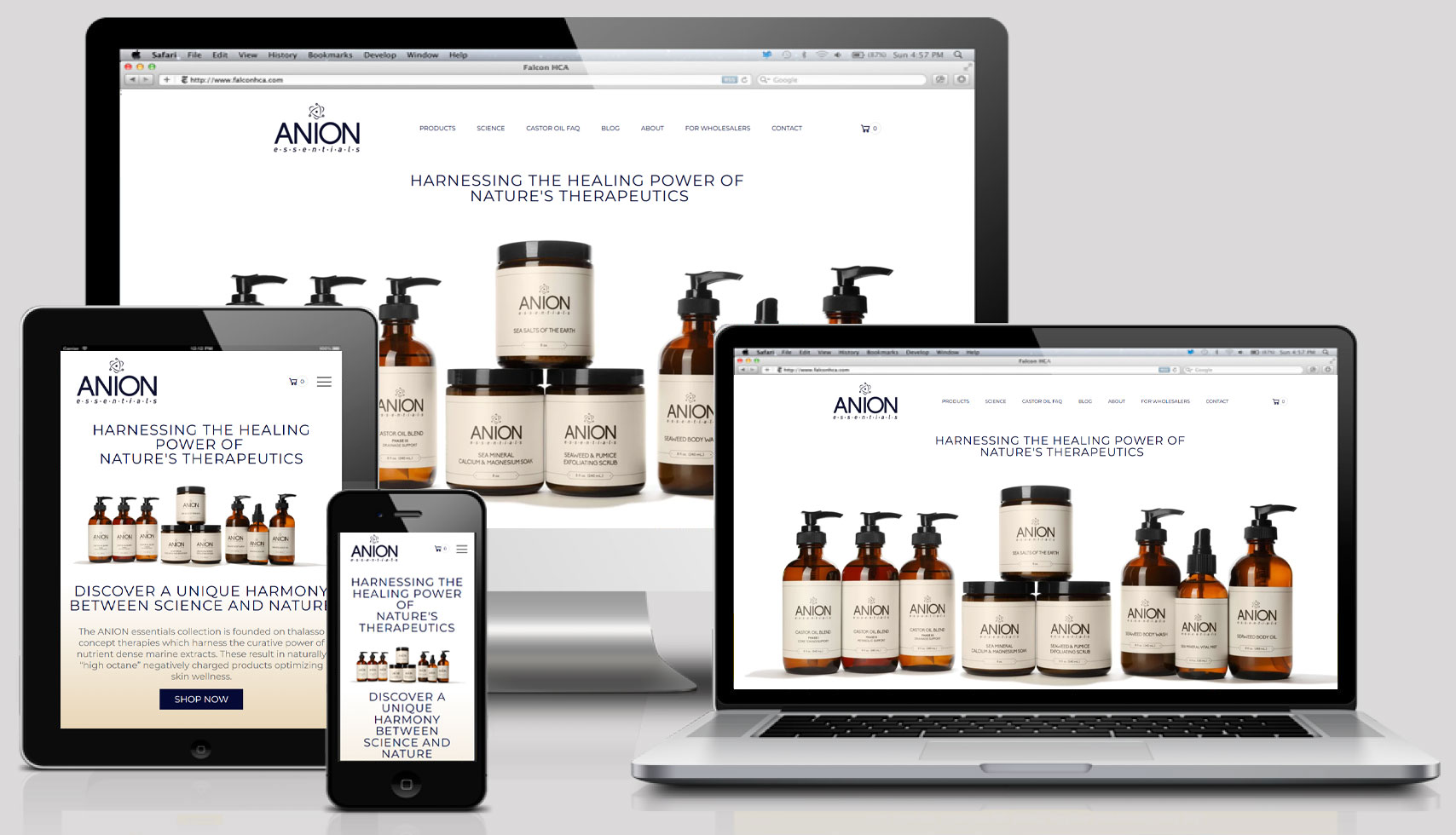 https://anionessentials.com